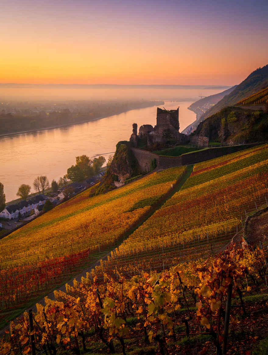 Rheintal mit Burgen und Weinbergen